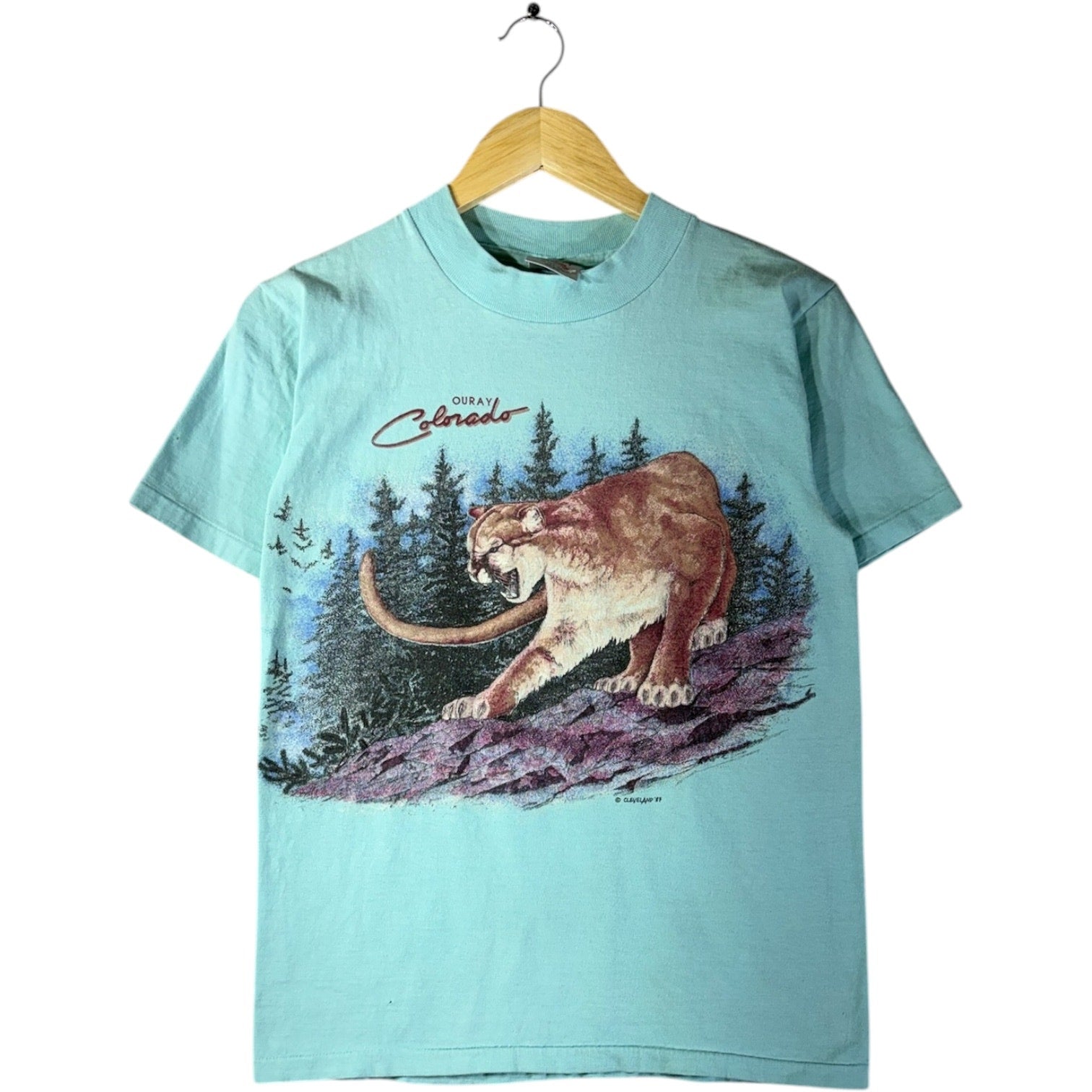 Vintage Mountain Lion Graphic T-Shirt