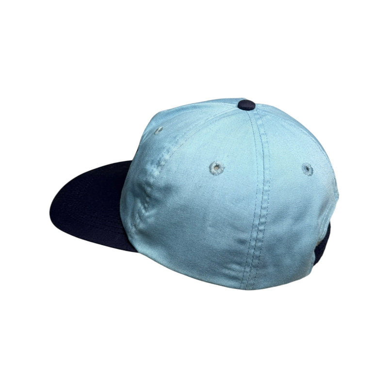 Vintage Taz Tasmanian Devil Looney Tunes Embroidered Dad Hat