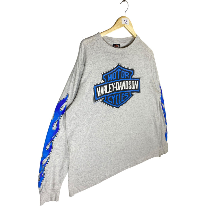 Vintage Harley Davidson Fink's Ohio Long Sleeve Shirt