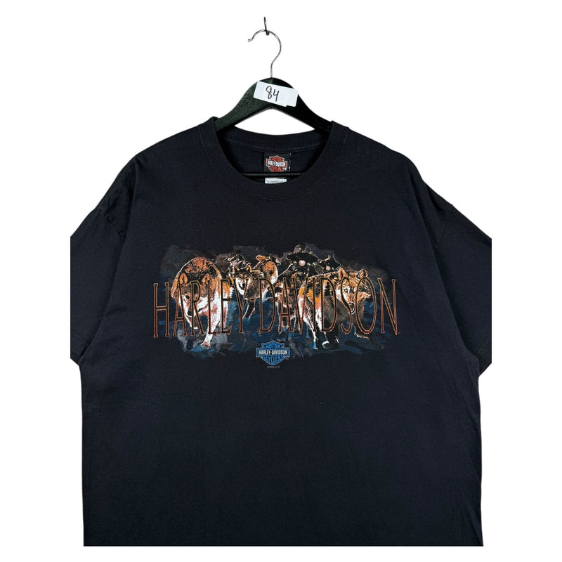 Vintage Harley Davidson Arkport T-Shirt