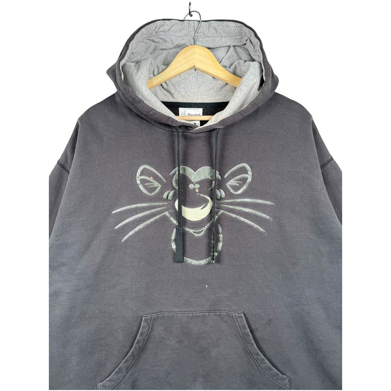 Vintage Disneyland Tiger Winnie The Pooh Hoodie