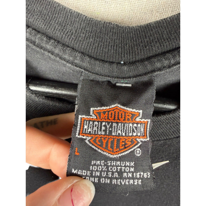 Vintage Harley Davidson St Petersburg T-Shirt