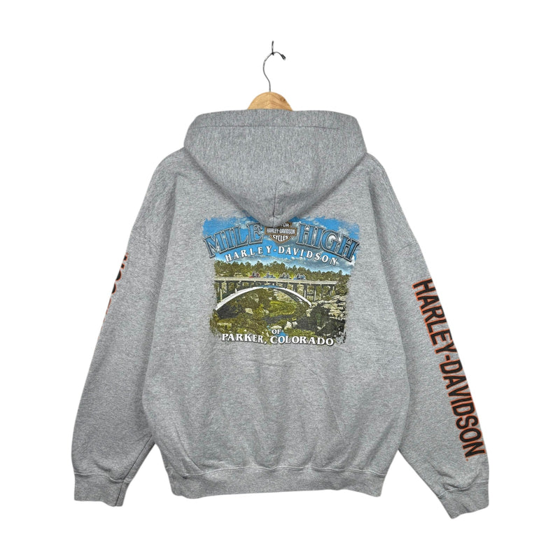 Vintage Harley Daavidson Logo Colorado Graphic Hoodie