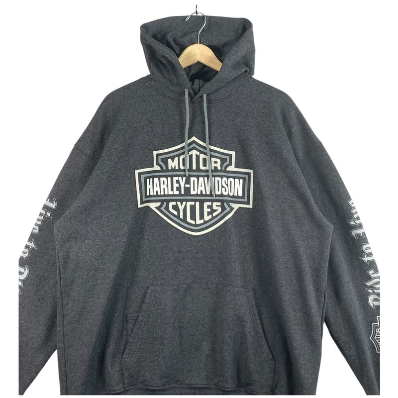 Vintage Harley Davidson Santa Cruz California Dealer Hoodie