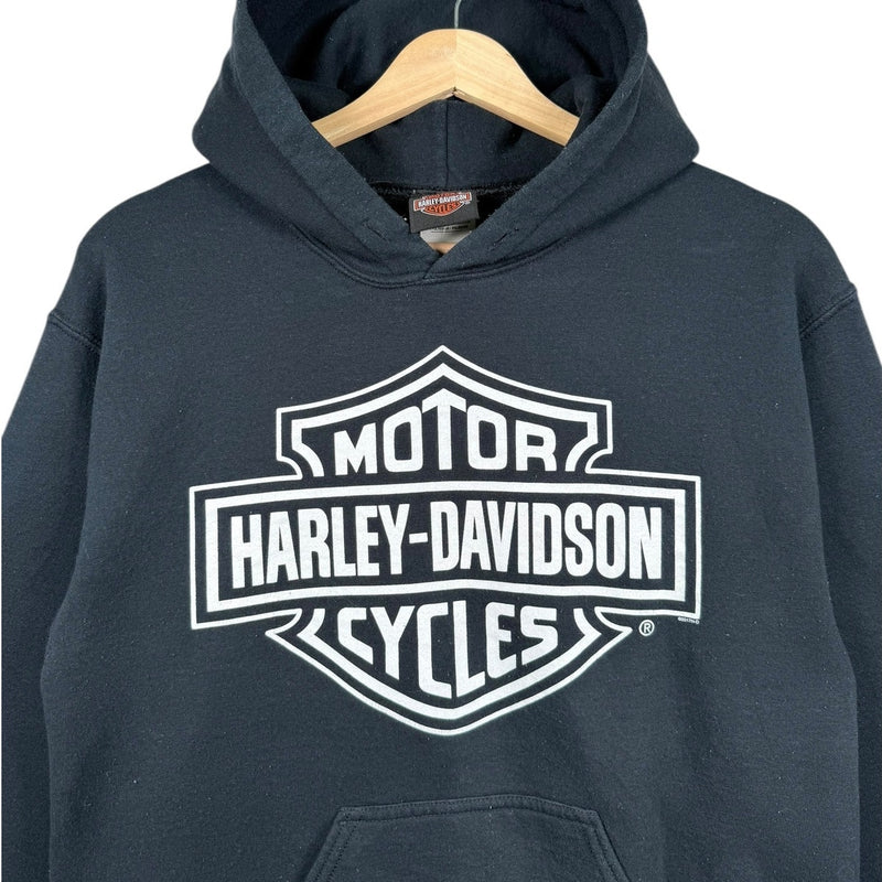 Vintage Harle Davidson Gasoline Alley Hoodie