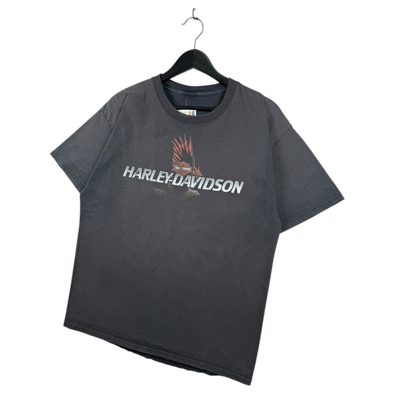 Vintage Harley Davidson Knoxville T-Shirt