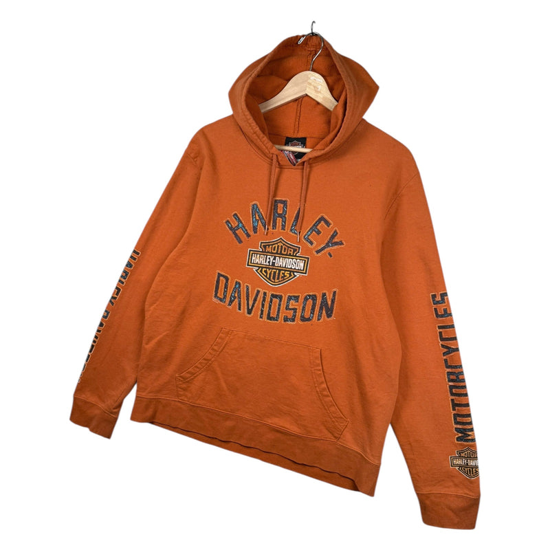 Vintage Harley Davidson Canada Flames Graphic Hoodie