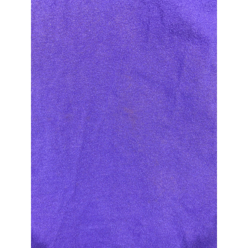 Vintage Splendid China Florida Tiger T-Shirt