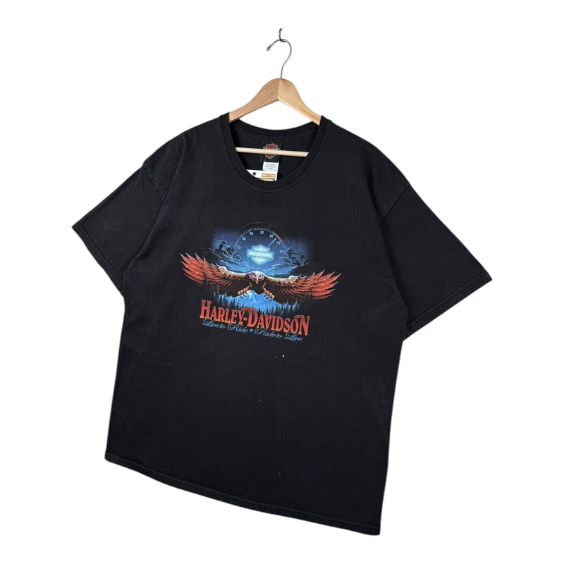Vintage Harley Davidson Blue Ridge Eagle Graphic T-Shirt