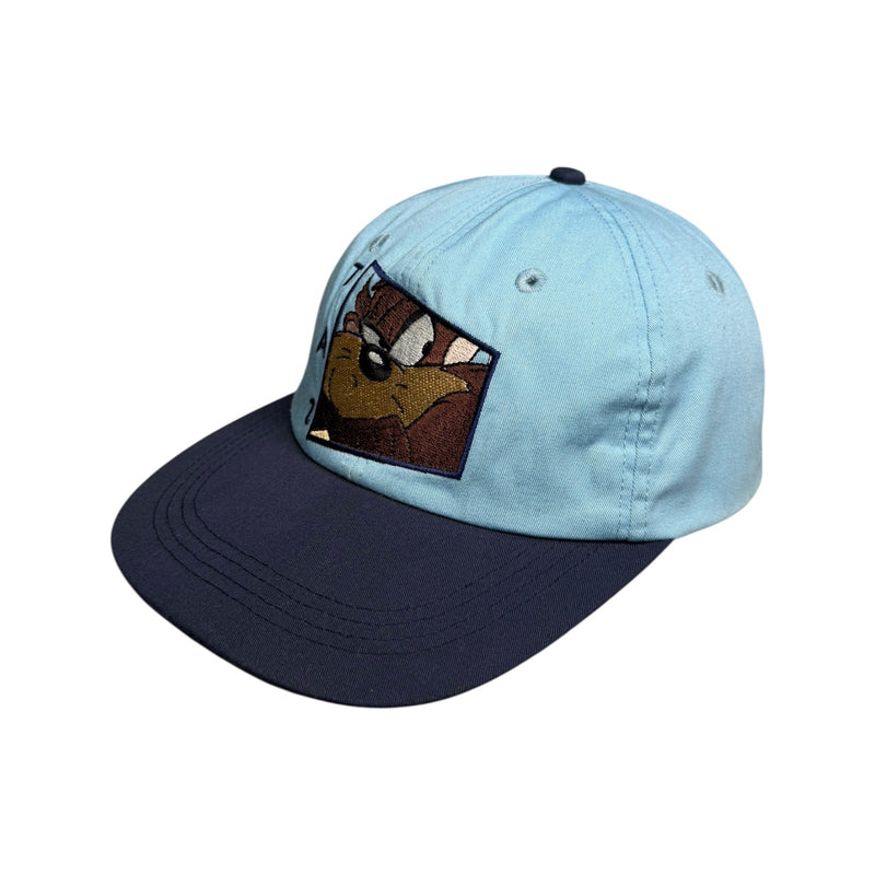 Vintage Taz Tasmanian Devil Looney Tunes Embroidered Dad Hat