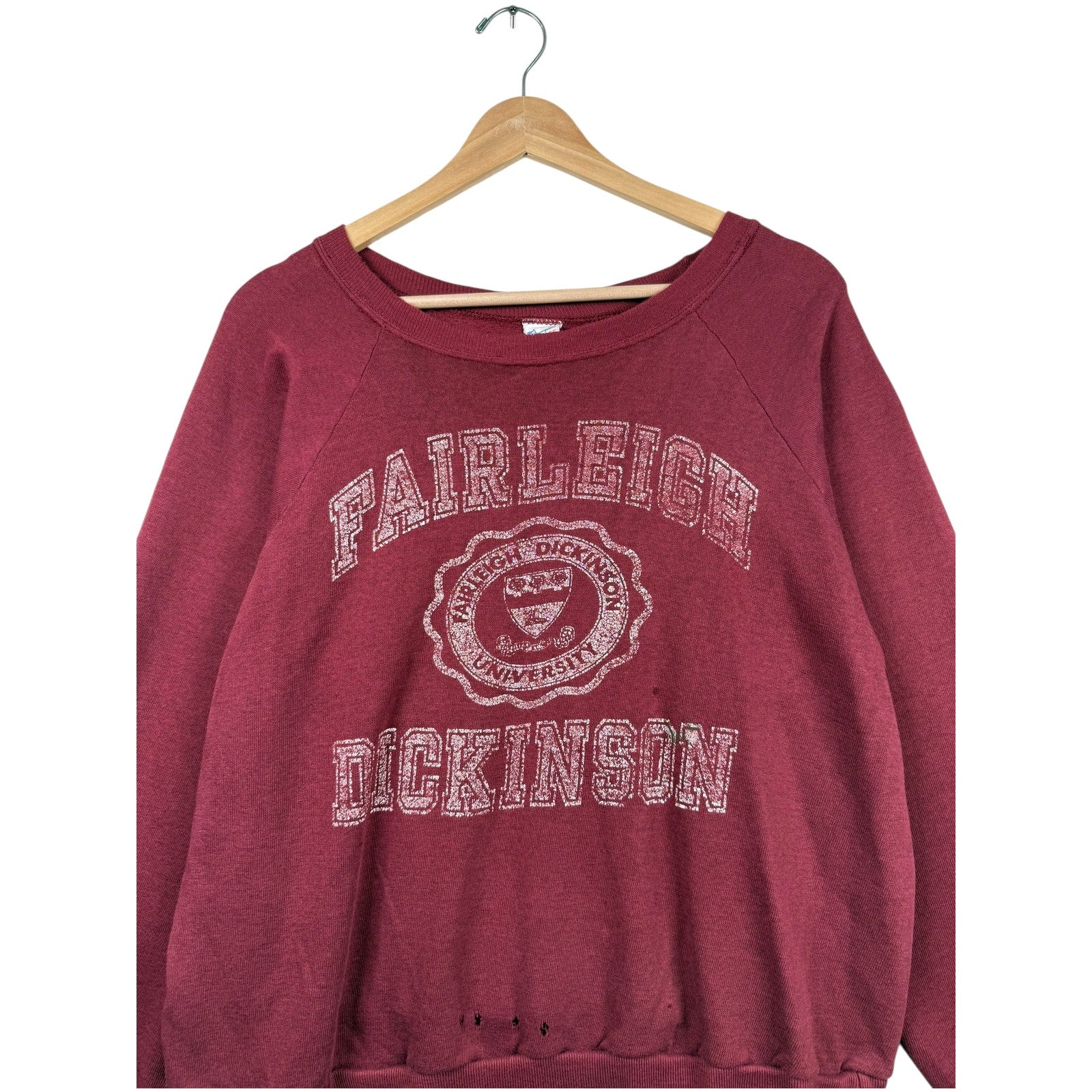 Vintage Champion Fairleigh Dickinson University Crewneck