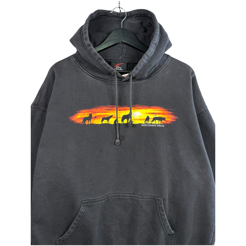 Vintage Wisconsin Dells Hoodie