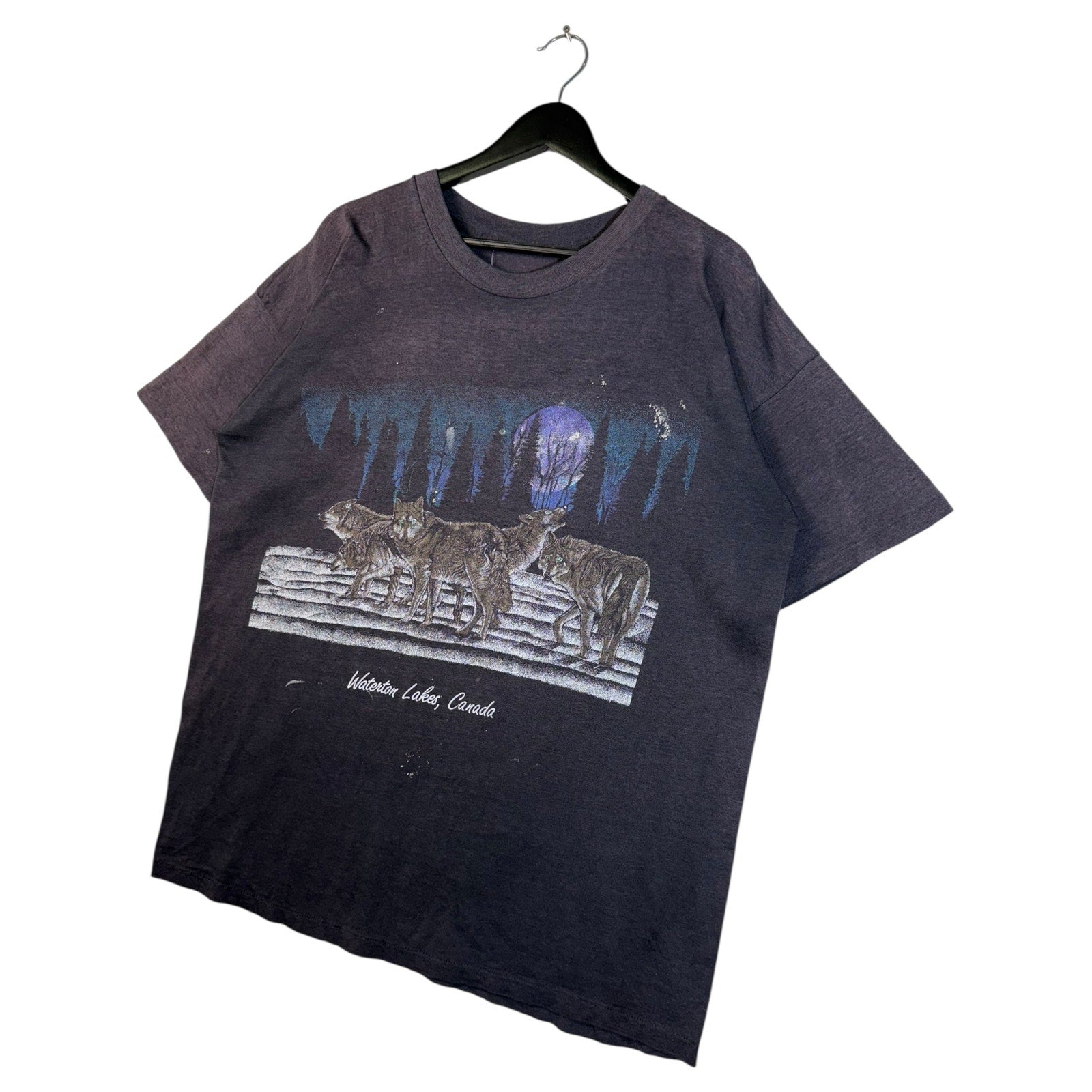 Vintage Waterton Lakes Canada Graphic T-Shirt