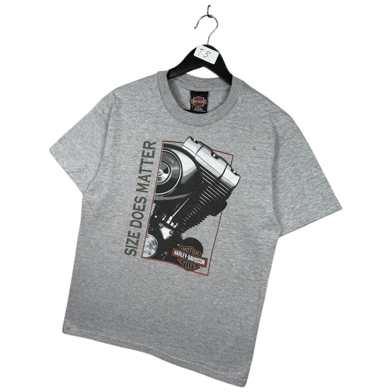 Vintage Harley Davidson Hollister CA T-Shirt