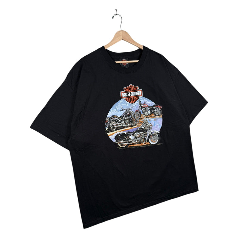 Vintage Harley Davidson Danbury T-Shirt