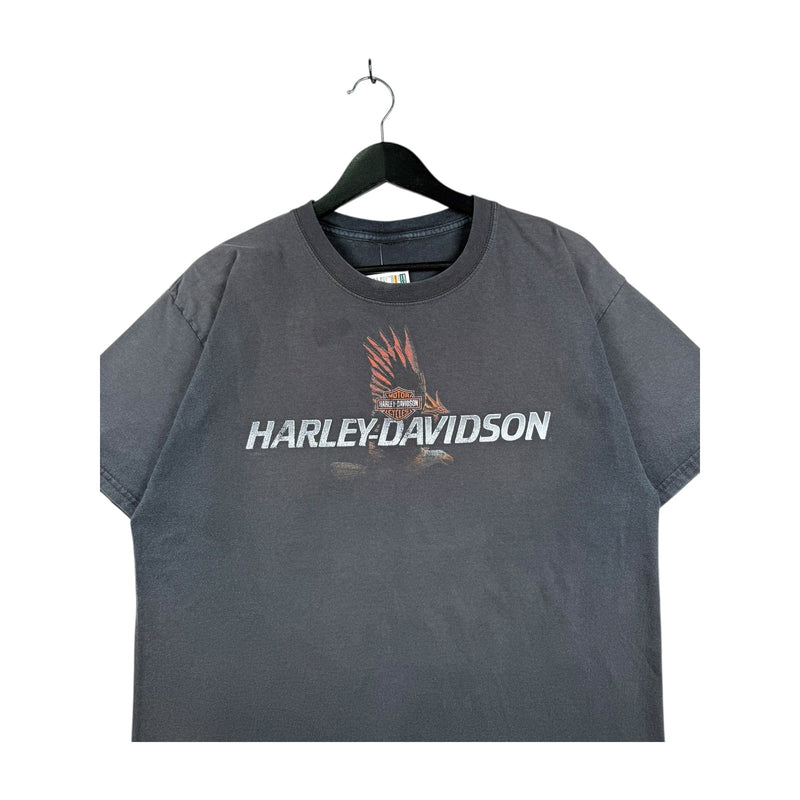 Vintage Harley Davidson Knoxville T-Shirt