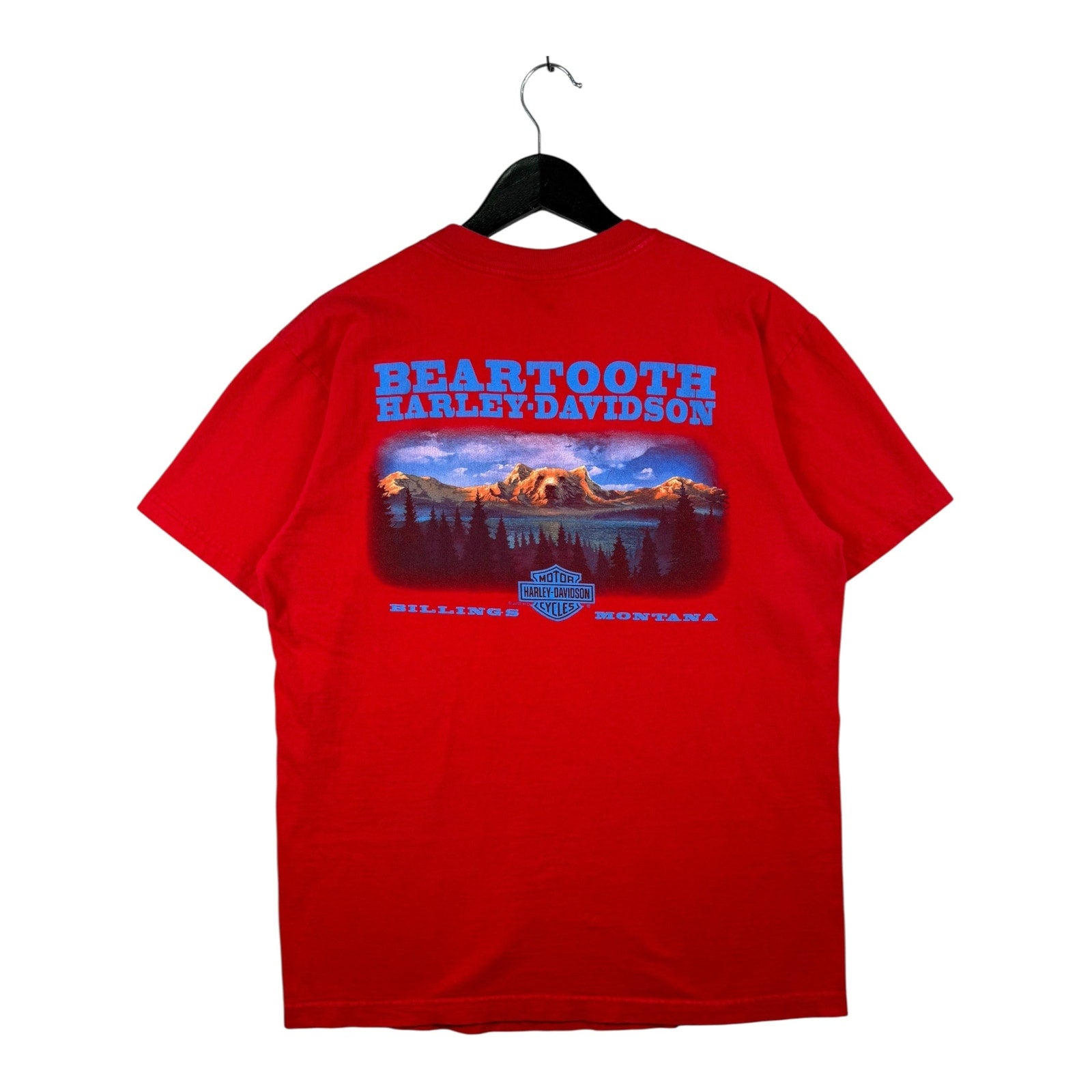 Vintage Harley Davidson Beartooth Bilings Monatana T-Shirt