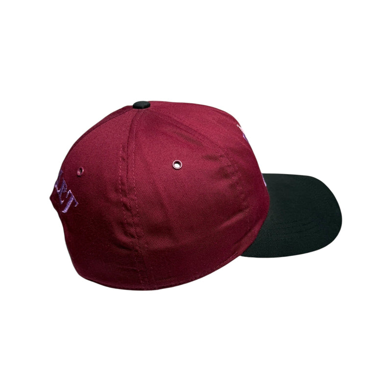 Vintage Disney Piglet Winnie The Pooh Embroidered Dad Hat