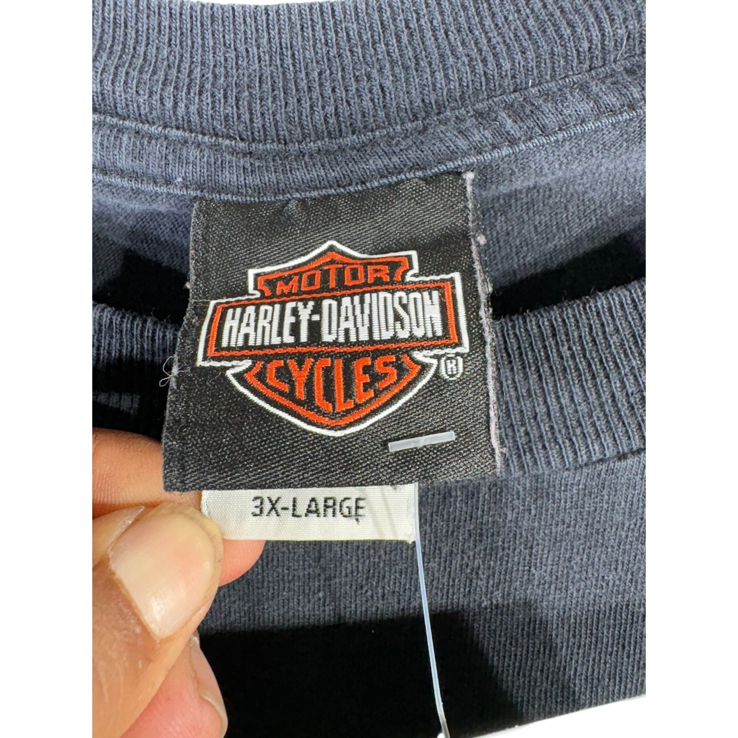 Vintage Harley Davidson Silver Eagle Pocket Long Sleeve