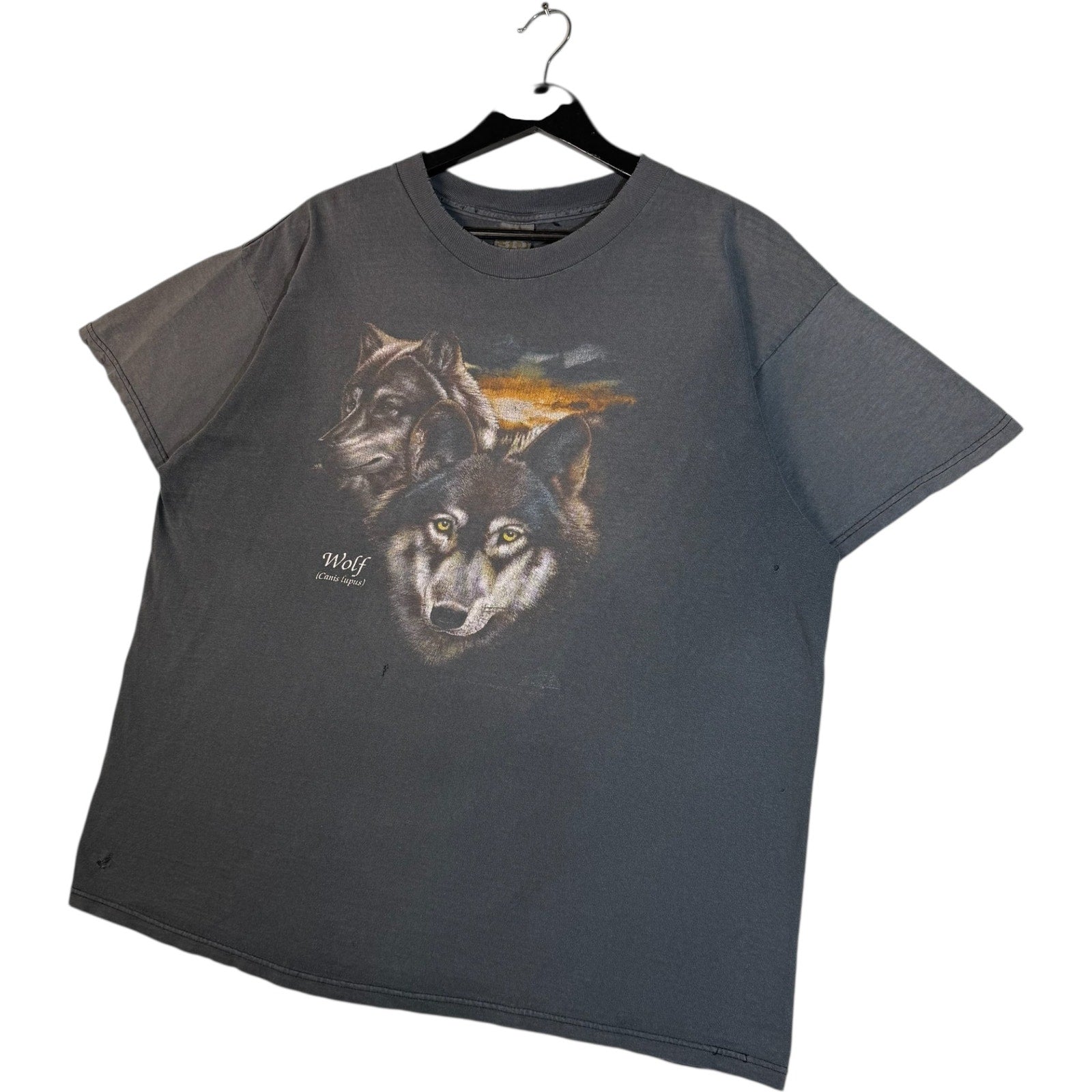 Vintage 3D Emblem Wolf Scientific Name Spellout Art Tee