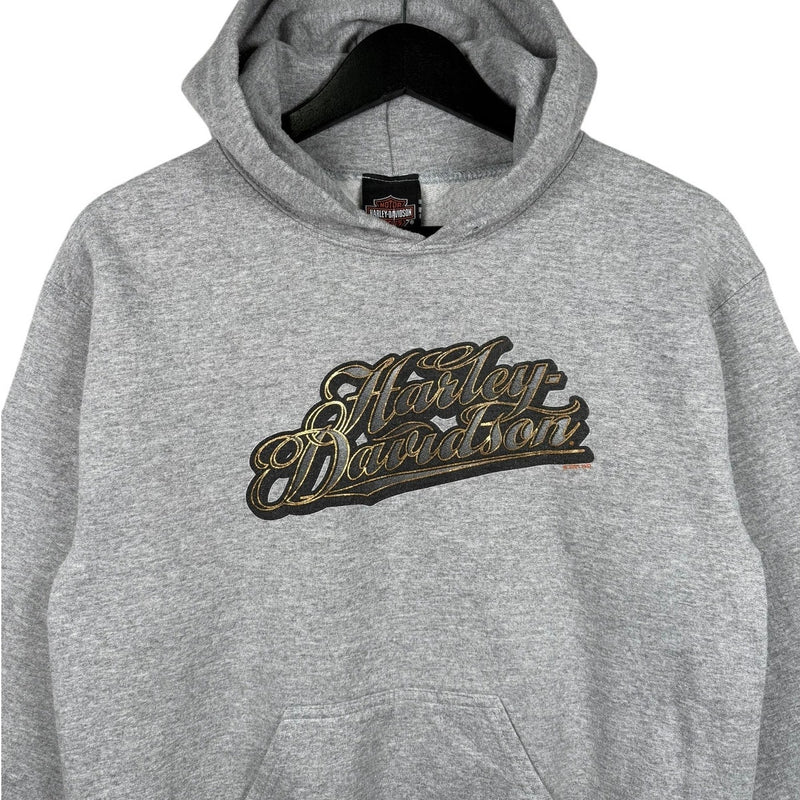 Vintage Harley Davidson Script Logo Hoodie