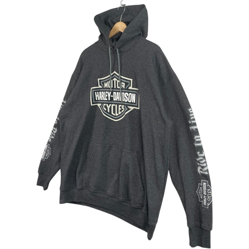 Vintage Harley Davidson Santa Cruz California Dealer Hoodie