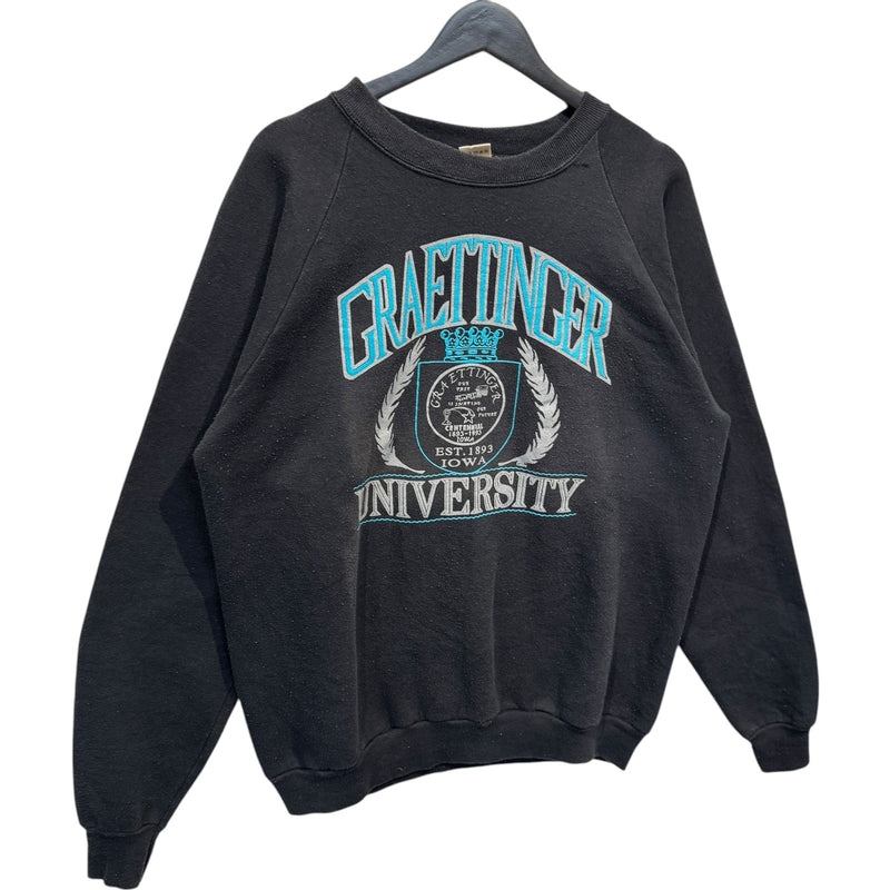 Vintage Graettinger University Iowa Crewneck