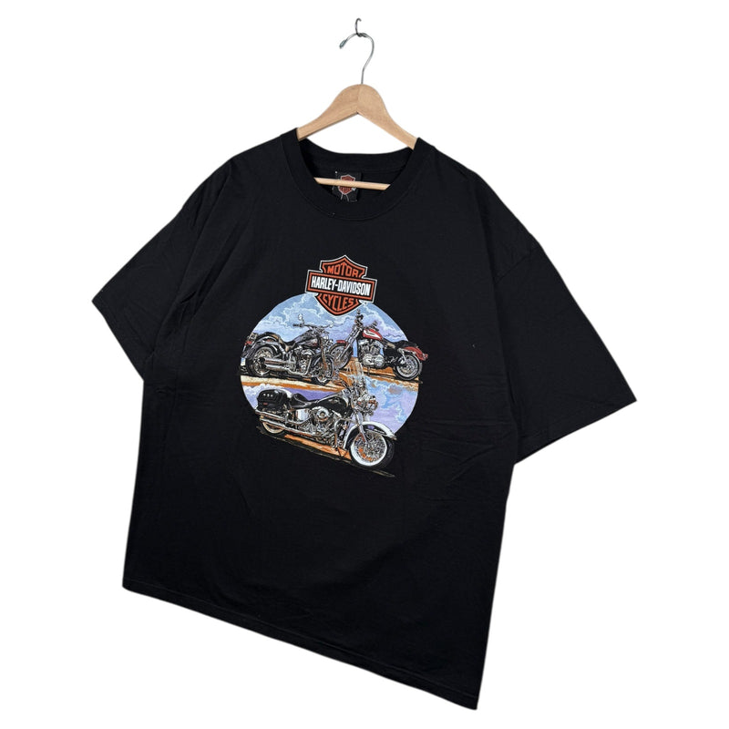 Vintage Harley Davidson Danbury T-Shirt