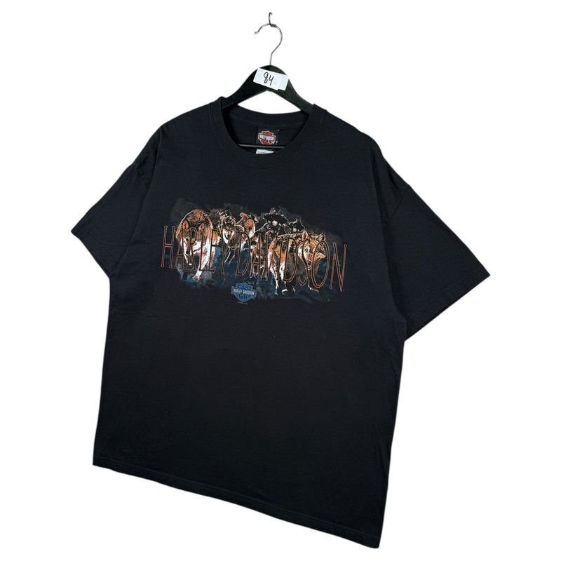 Vintage Harley Davidson Arkport T-Shirt