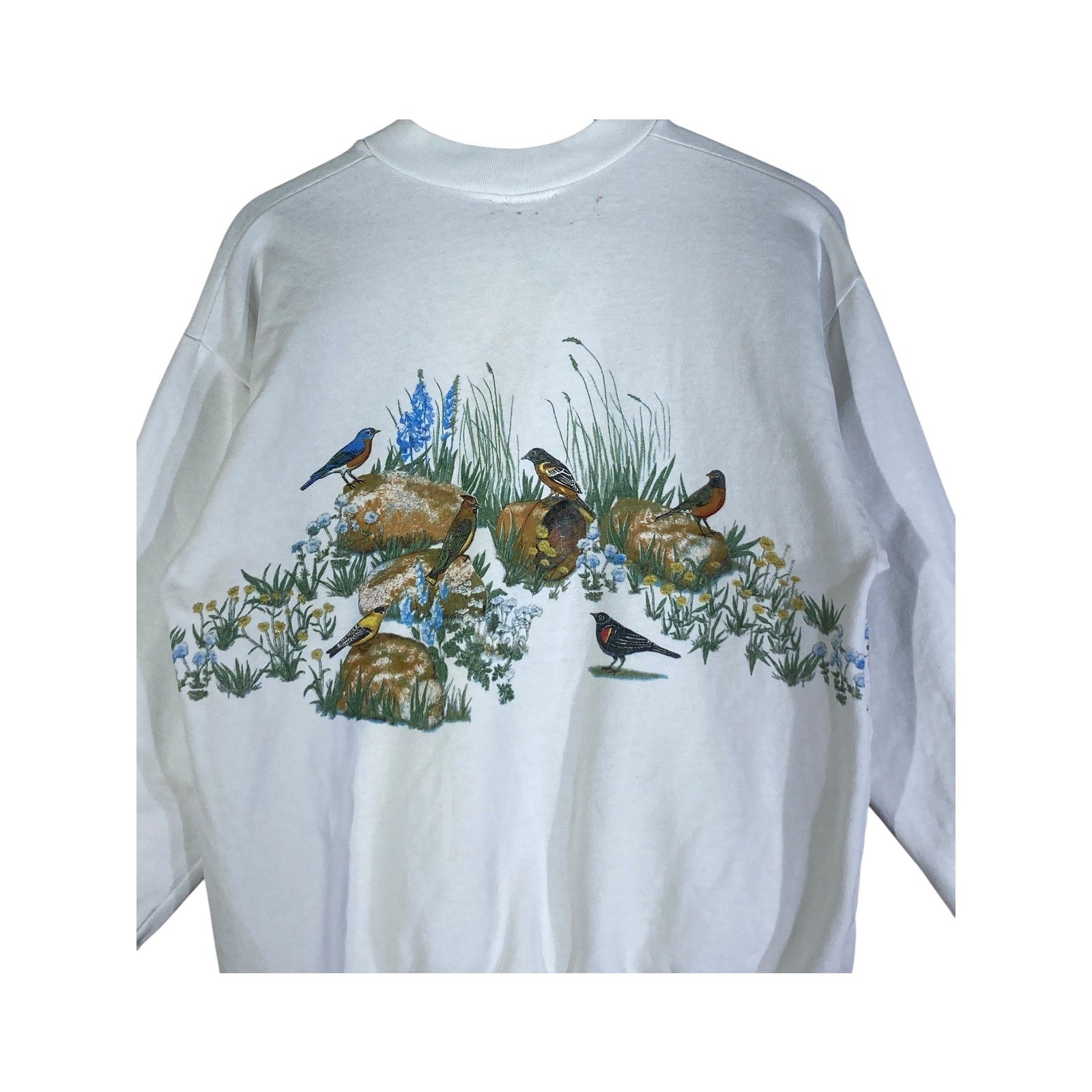Vintage Birds In Nature Buttoned Collar Crewneck