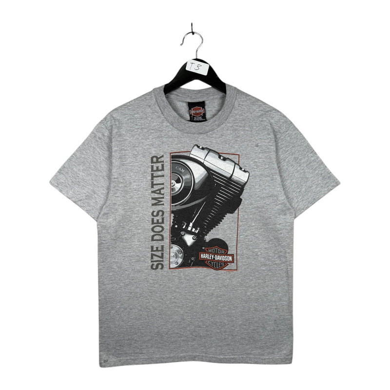 Vintage Harley Davidson Hollister CA T-Shirt