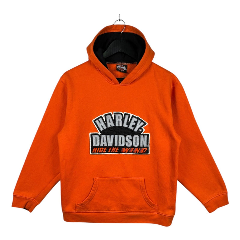Vintage Harley Davidson Ride The Wind Hoodie