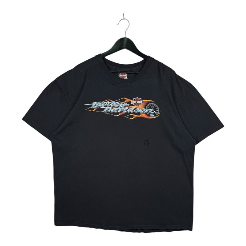 Vintage Harley Davidson Logo Flames Graphic T-Shirt