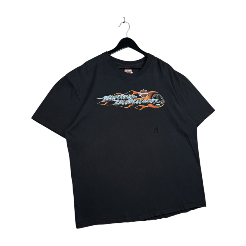 Vintage Harley Davidson Logo Flames Graphic T-Shirt