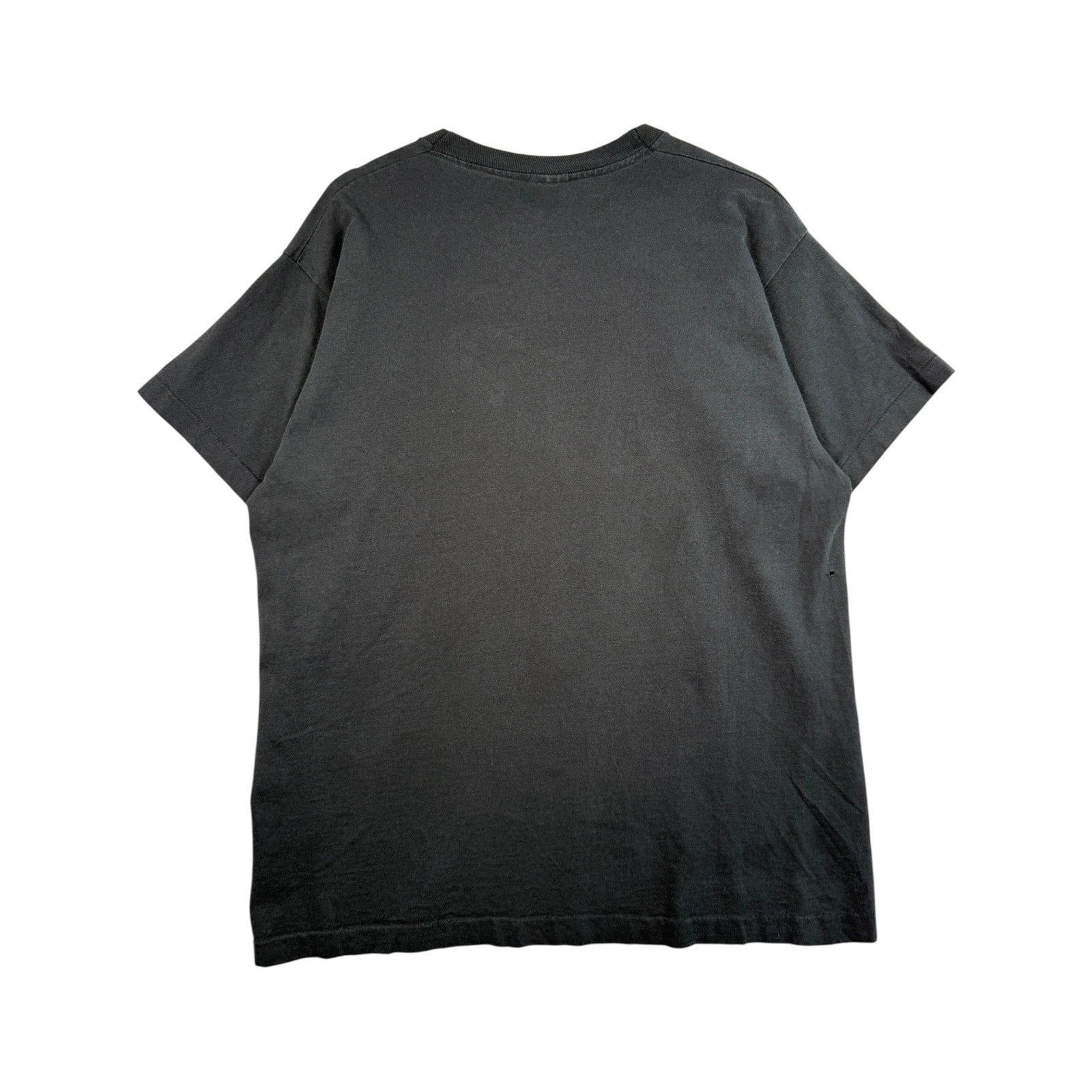 Vintage Native American Buffalo Horse Tulsa Art T-Shirt