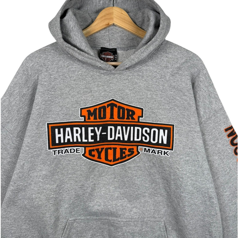Vintage Harley Daavidson Logo Colorado Graphic Hoodie