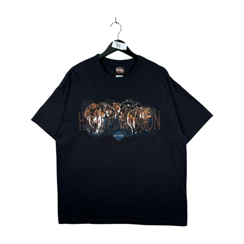 Vintage Harley Davidson Arkport T-Shirt