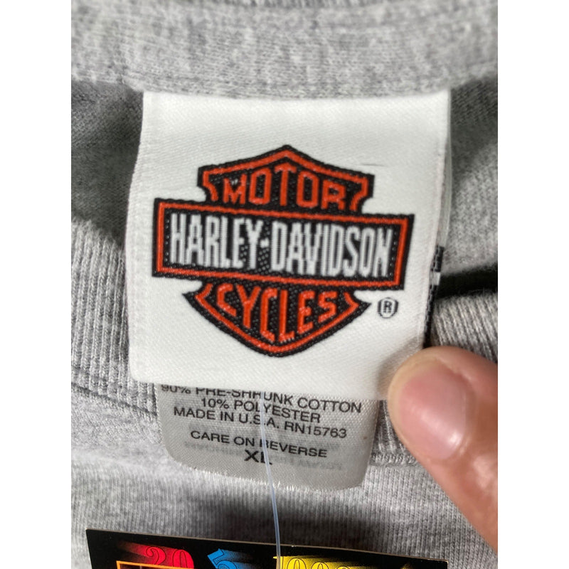 Vintage Harley Davidson Dant’s Princeton IL Long Sleeve T-Shirt