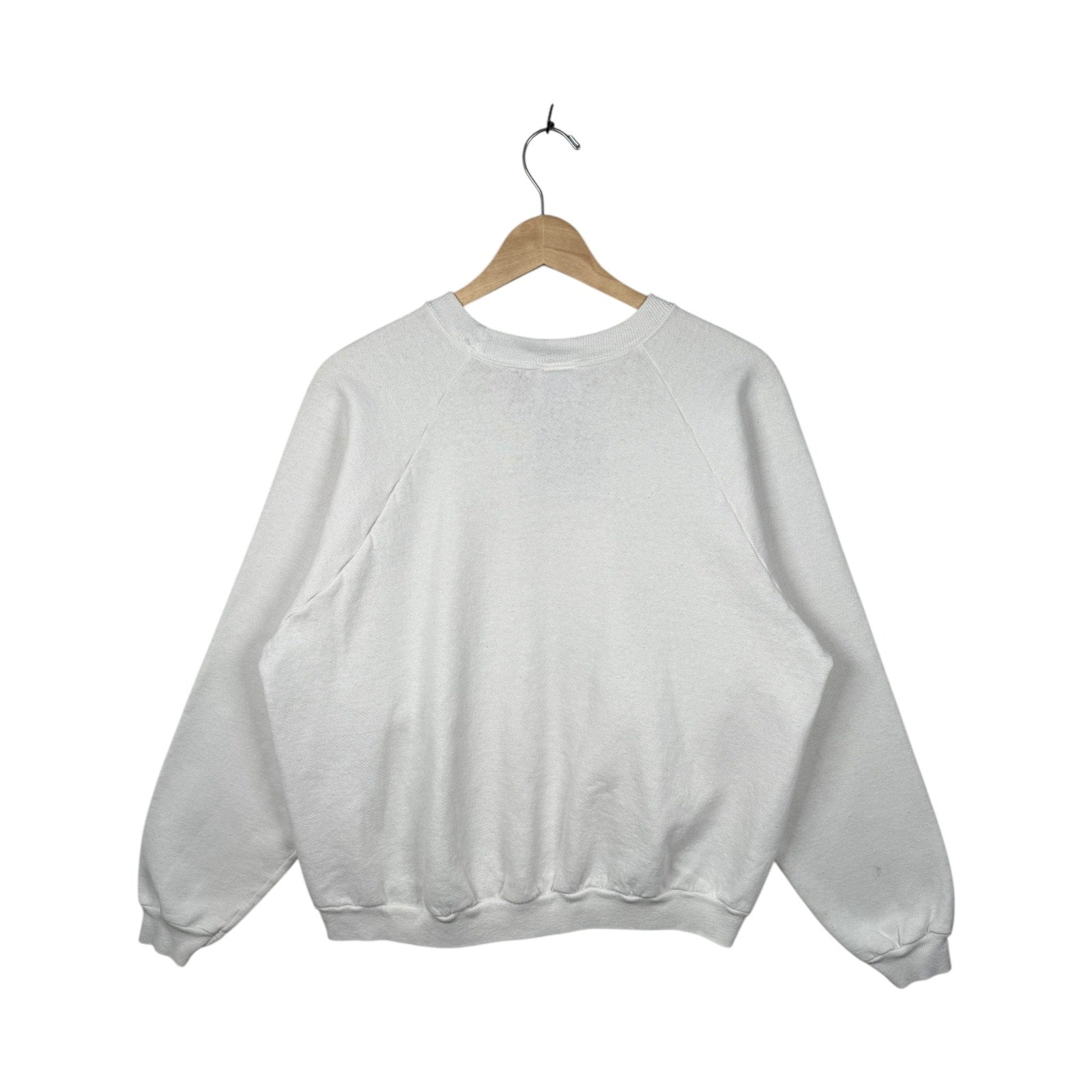 Vintage Winter Cardinals Mailbox Scenic Crewneck