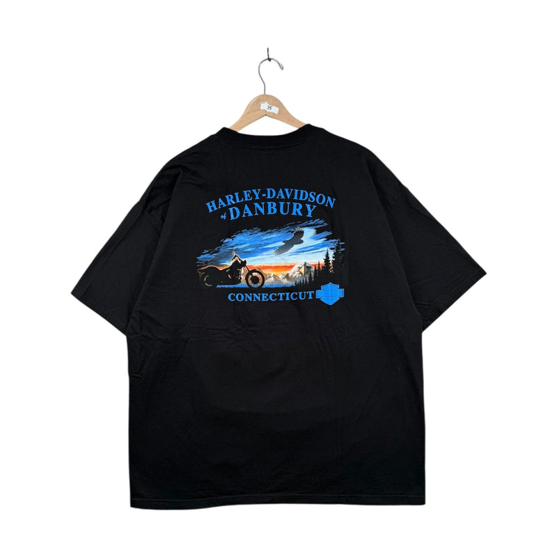 Vintage Harley Davidson Danbury T-Shirt