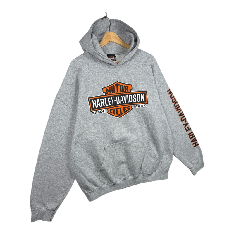 Vintage Harley Daavidson Logo Colorado Graphic Hoodie