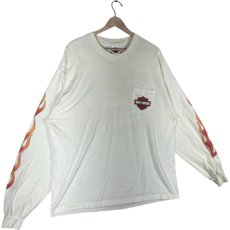 Vintage Harley Davidson Newcastle, DE Flaming Long Sleeve