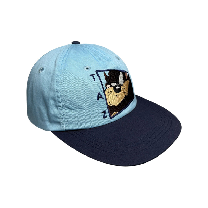 Vintage Taz Tasmanian Devil Looney Tunes Embroidered Dad Hat