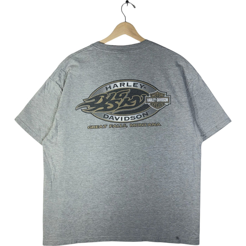 Vintage Harley Davidson Great Falls Montana Tee