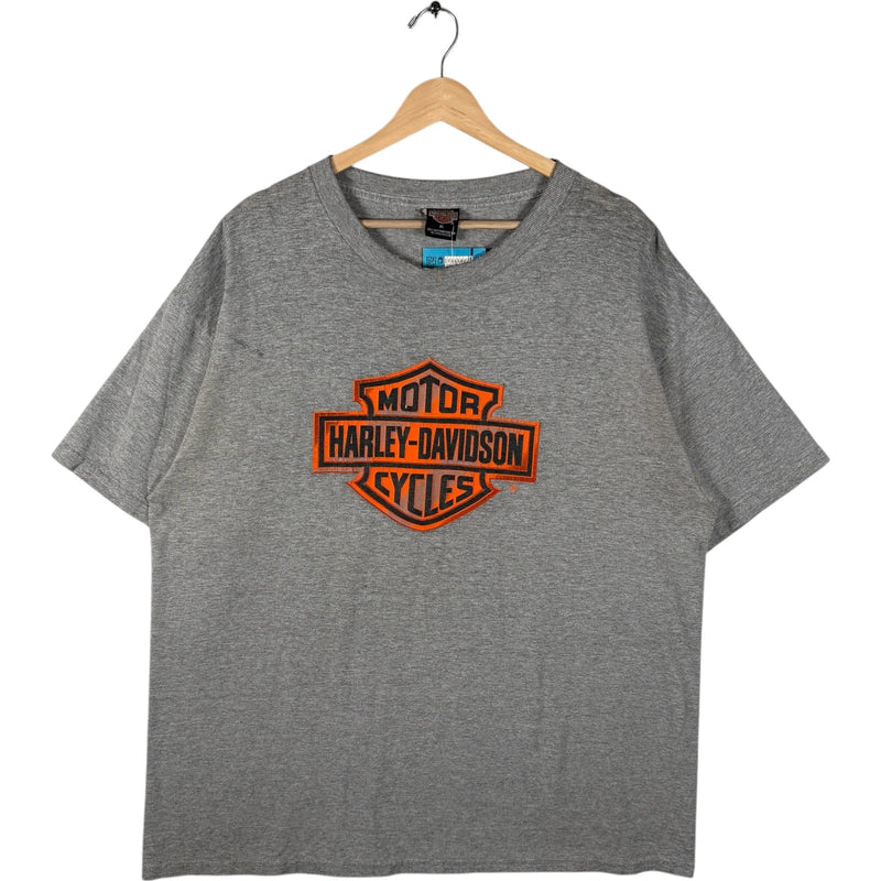 Vintage Harley Davidson Flaming Engine Tee