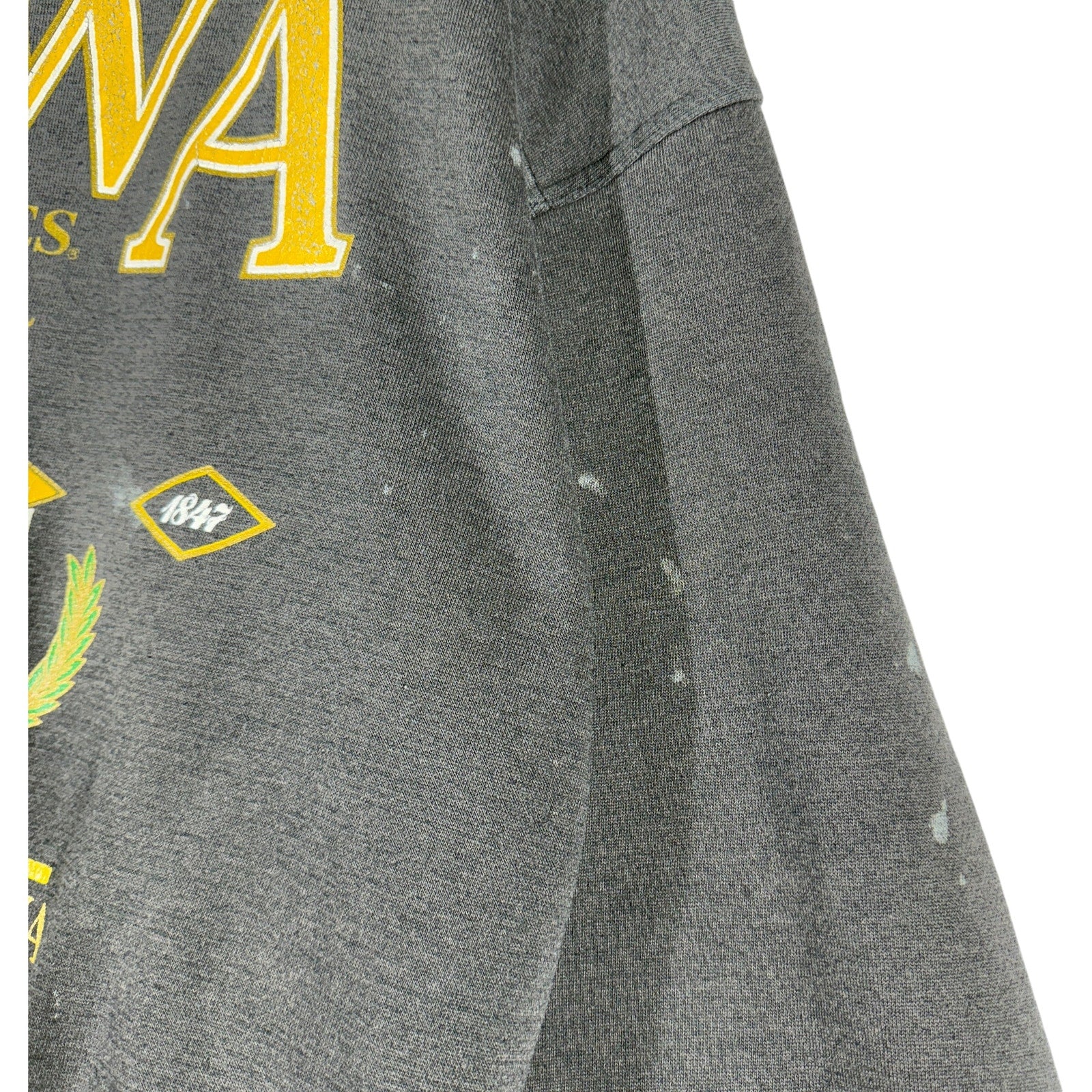 Vintage University of Iowa Hawkeyes Crewneck 90s