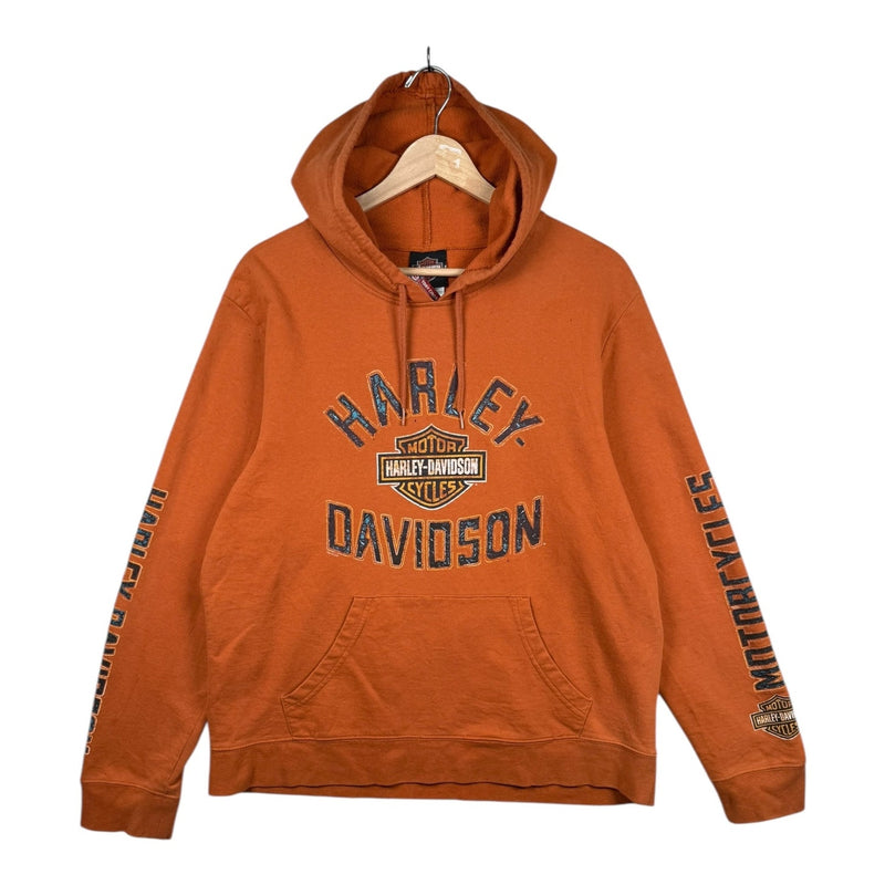 Vintage Harley Davidson Canada Flames Graphic Hoodie