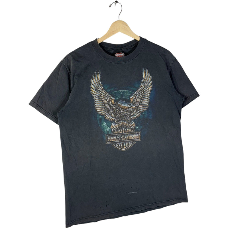 Vintage Harley Davidson Frederick Colorado Tee