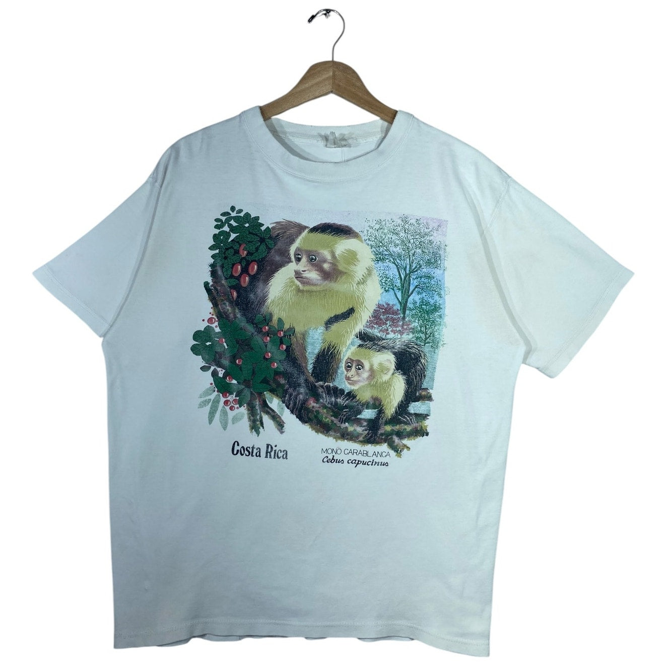 Vintage Costa Rica Monkey Graphic T-Shirt