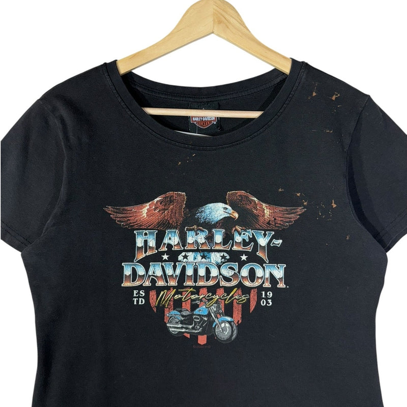 Vintage Harley-Davidson Eagle American Flag T-Shirt